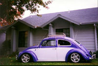 bug2.jpg (15383 bytes)