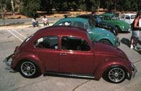 bug4.jpg (15637 bytes)